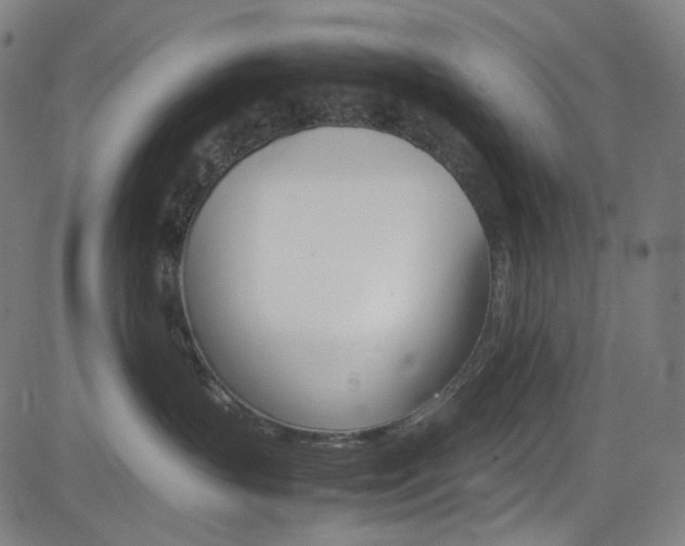 X0000085250383200703090954