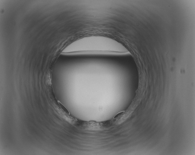 X0000085250384200703090954