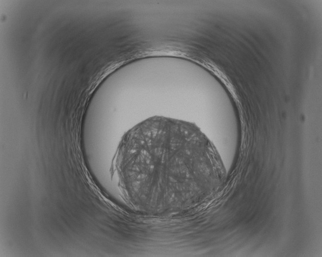 X0000085250385200703090953