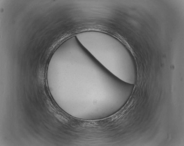 X0000085250386200703090953