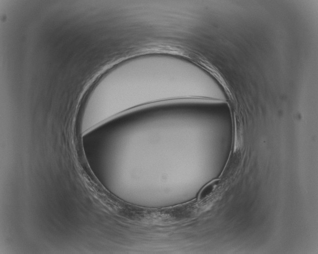 X0000085250387200703090953