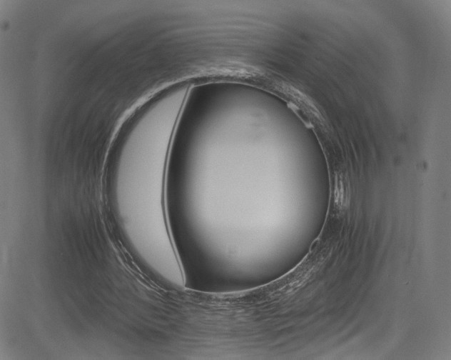 X0000085250388200703090953