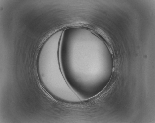 X0000085250389200703090953