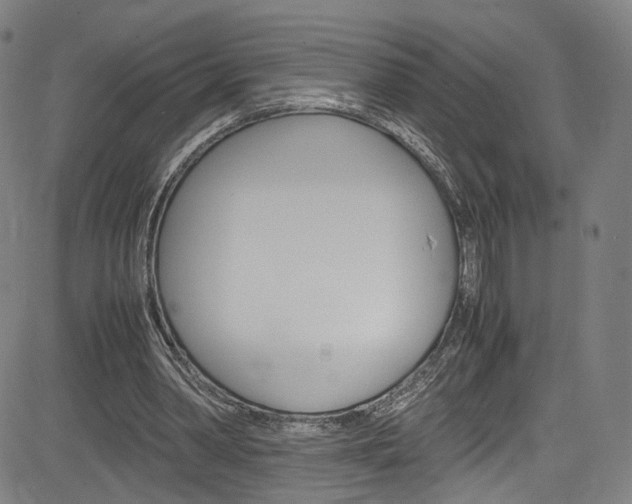 X0000085250390200703090953