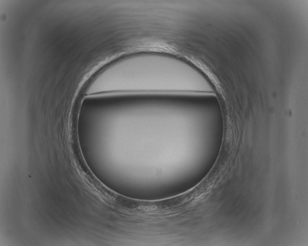 X0000085250391200703090953