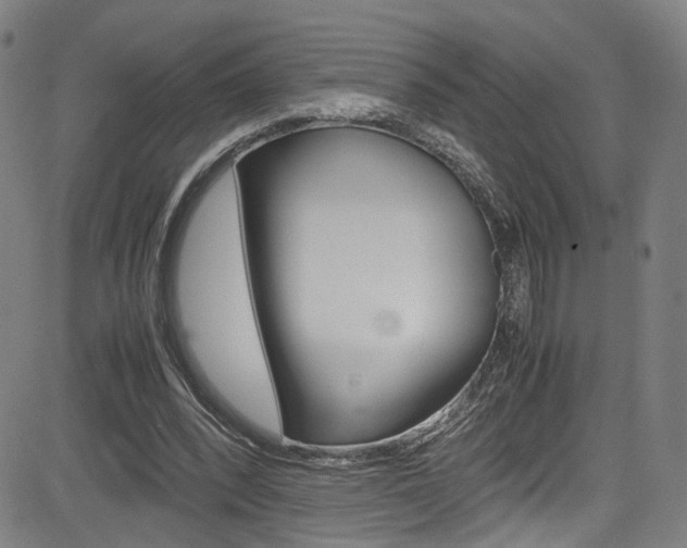 X0000085250392200703090953