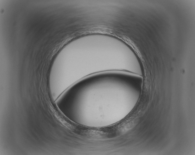 X0000085250393200703090953