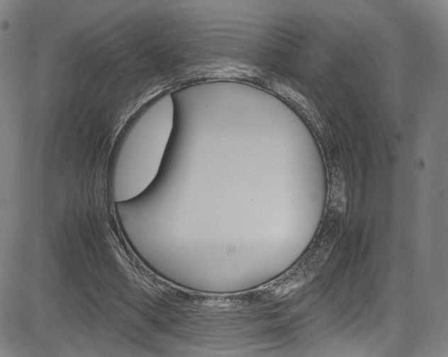 X0000085250394200703090953