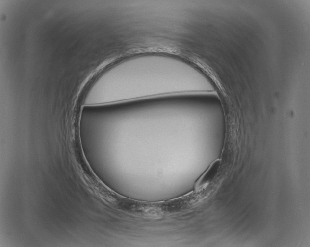 X0000085250395200703090953