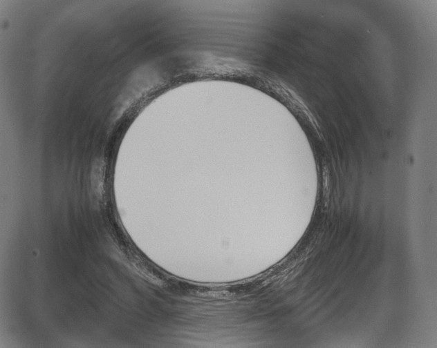 X0000085250396200703090953