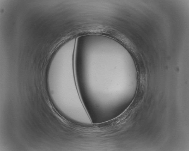 X0000085250397200703090953