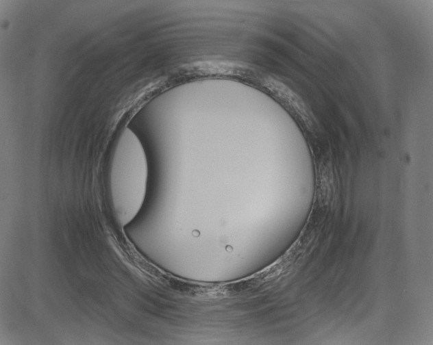 X0000085250398200703090953