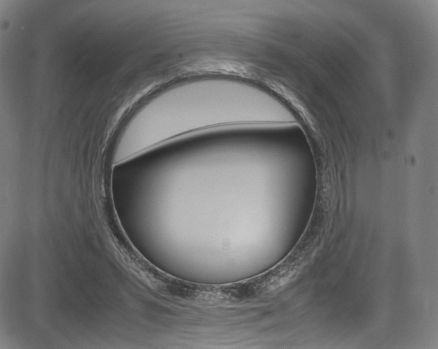 X0000085250399200703090953