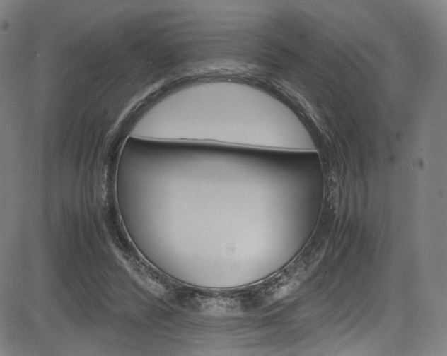 X0000085250400200703090953