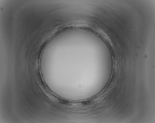 X0000085250401200703090953