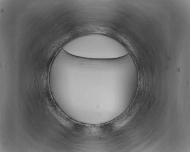 X0000085250402200703090953