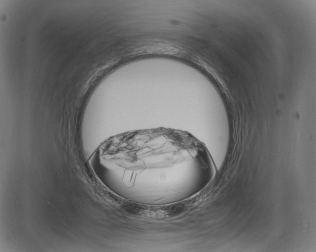 X0000085250403200703090953