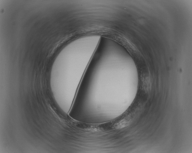 X0000085250404200703090953