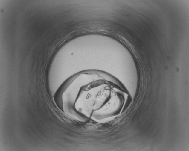 X0000085250405200703090953