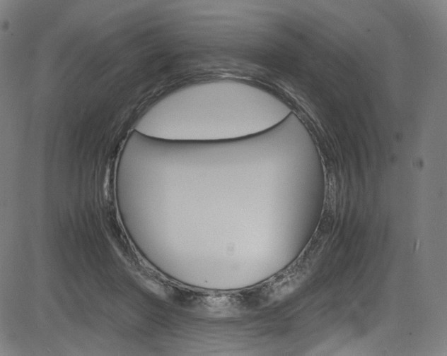 X0000085250406200703090953