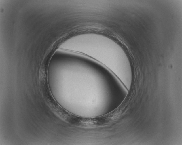 X0000085250407200703090953