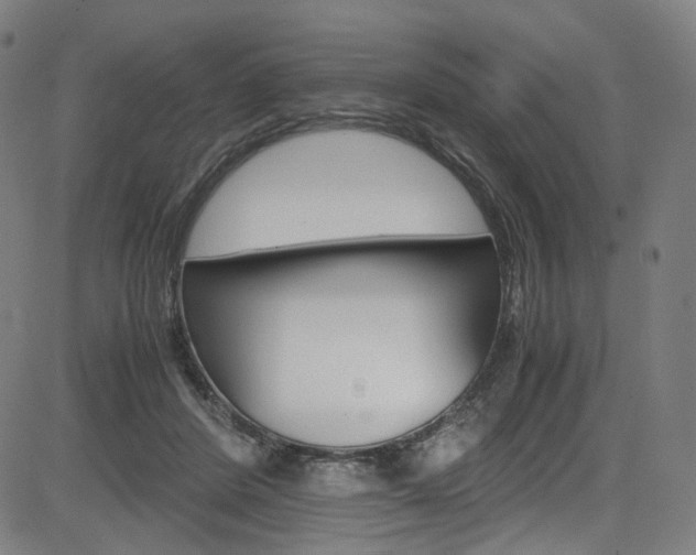 X0000085250408200703090953