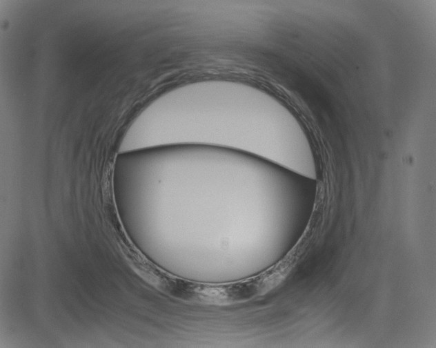 X0000085250409200703090953