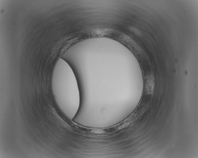 X0000085250410200703090953