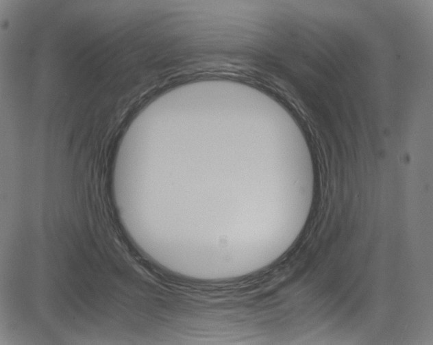 X0000085250411200703090952