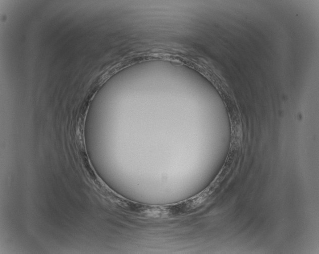 X0000085250415200703090952