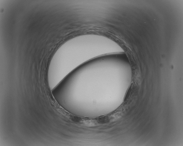 X0000085250417200703090952