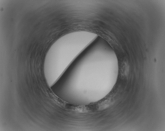 X0000085250420200703090952