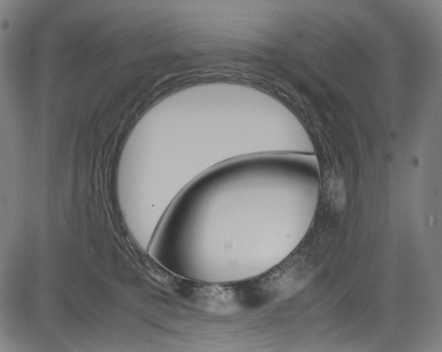 X0000085250421200703090952