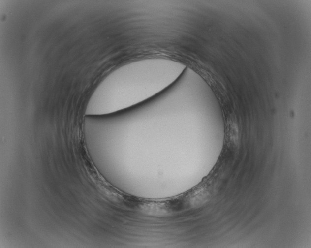 X0000085250422200703090952