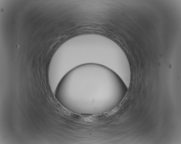 X0000085250423200703090952