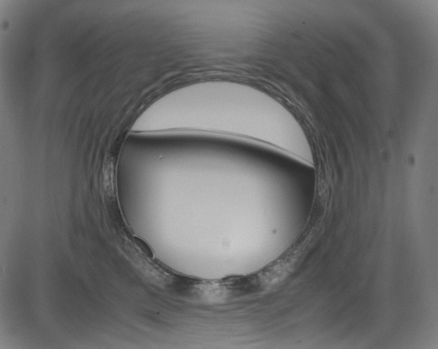 X0000085250425200703090952