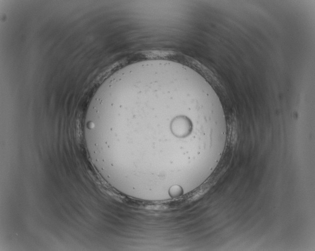 X0000085250426200703090952