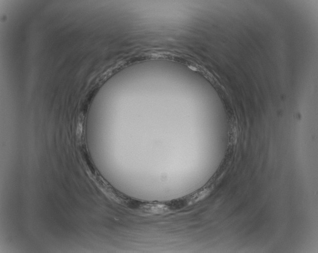 X0000085250427200703090952