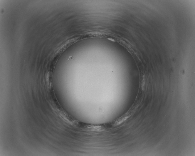 X0000085250428200703090952