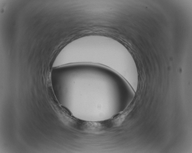 X0000085250429200703090952