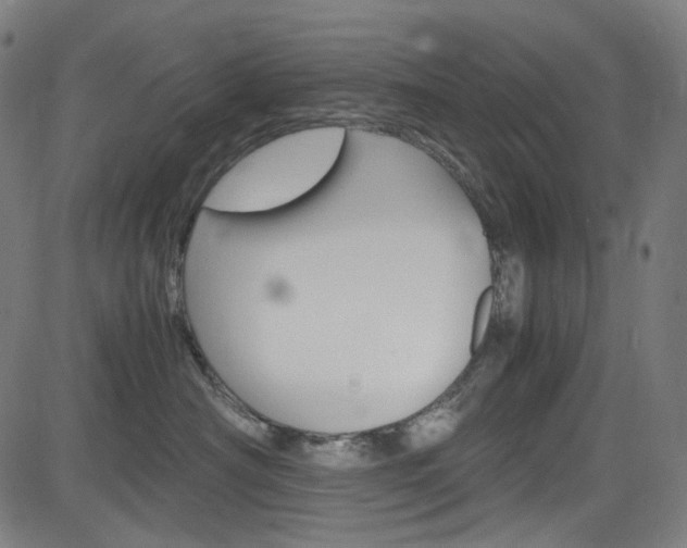 X0000085250430200703090952