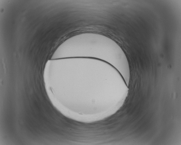 X0000085250431200703090952