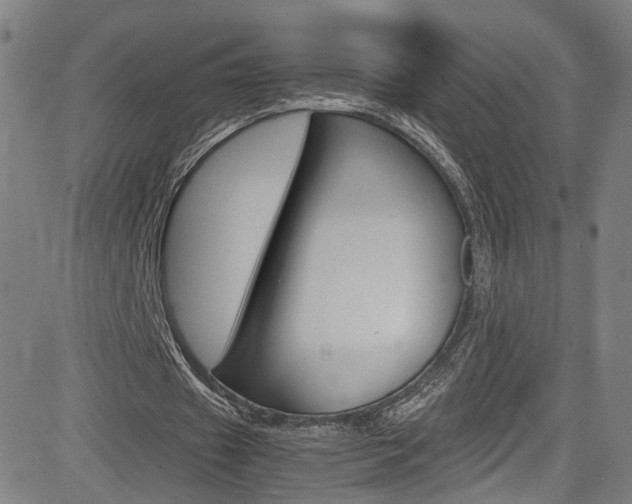 X0000085250433200703090951