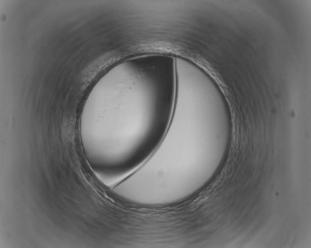 X0000085250434200703090951