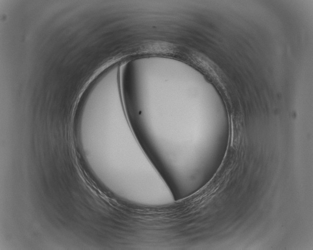 X0000085250435200703090951