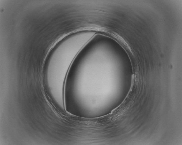 X0000085250436200703090951