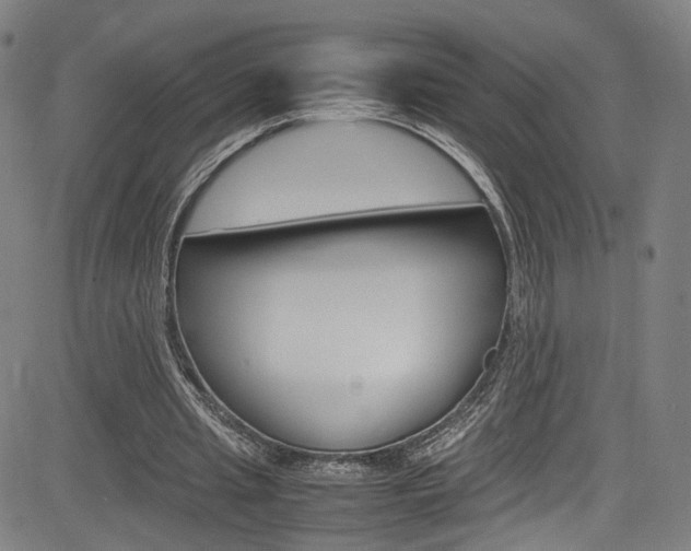 X0000085250437200703090951