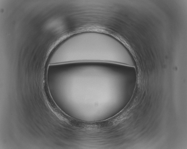 X0000085250438200703090951