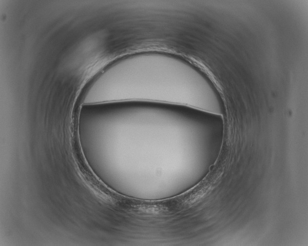 X0000085250439200703090951