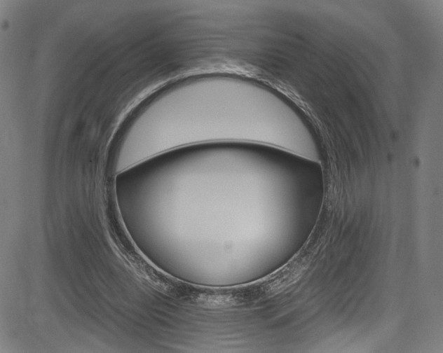 X0000085250440200703090951